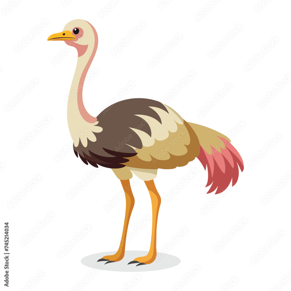 Ostriches Animal flat vector illustration