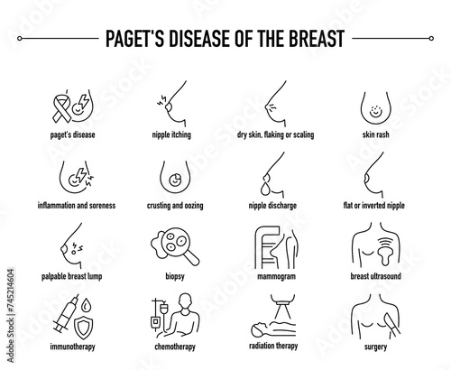 Paget's Disease of the Breast symptoms, diagnostic and treatment vector icons. Line editable medical icons.
