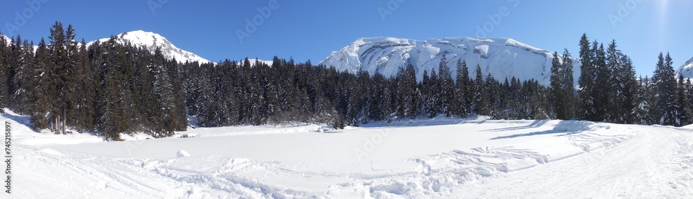 panorama de montagnes enneigées en hiver avec vue sur les Terres Maudites situées dans le Chablais dans les Alpes