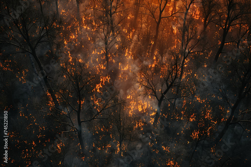 Burning forest, wildfire in the bush, trees ablaze, environmental danger.