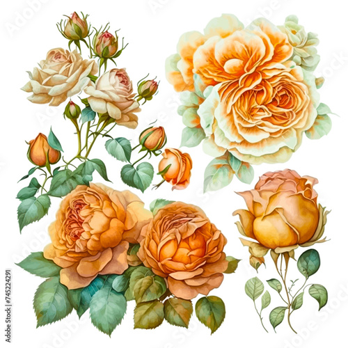 Experience the charm of 'Ethereal Roses in Watercolor', where each stroke unveils the subtle beauty of roses against a transparent canvas. Perfect for anyone seeking to infuse their space with the ele
