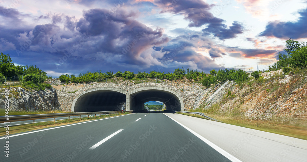 Bridge for animals on the highway. Croatia.