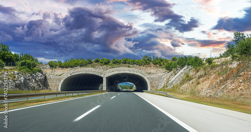Obraz na płótnie Bridge for animals on the highway. Croatia. w salonie