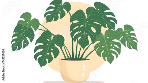 a pictogram of a philodendrum indoor plant   photo