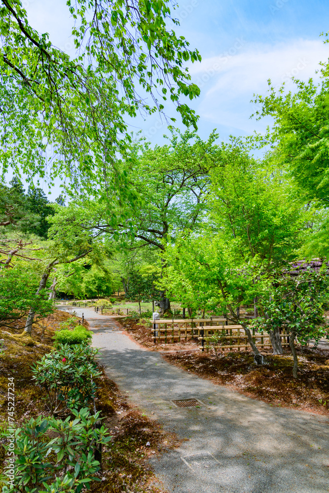さわやかな新緑　福島 浄楽園
