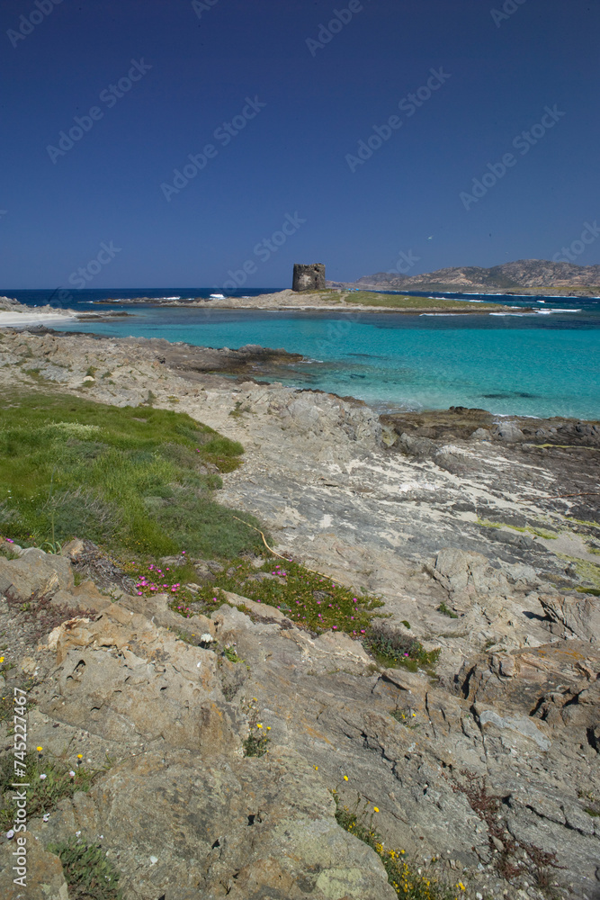 La pelosa beach in Stintino on island of Sardinia