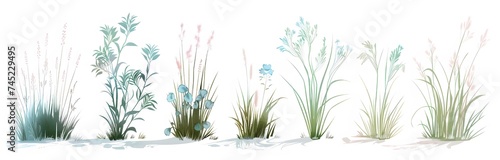 Grass Sketch Collection