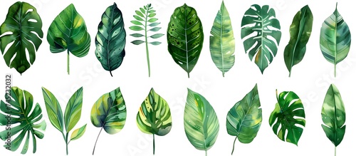 Watercolor Painting with Green Leaves
