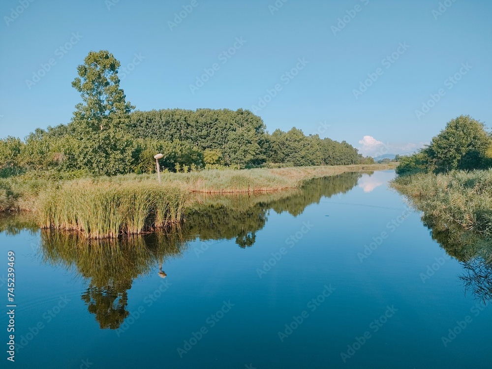Fototapeta premium lake in the park