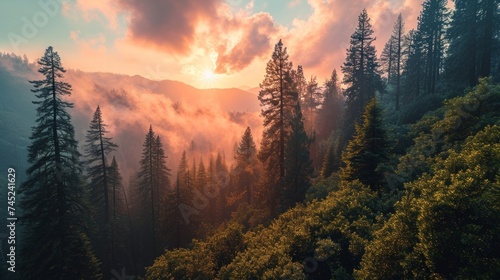 Generative AI Forest giants, drone's perspective, vibrant sunset hues, dense woodland vista, photorealistic dusk over Sequoia Park photo