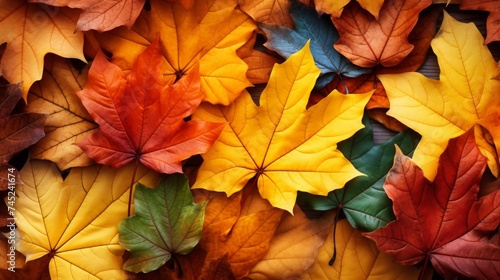 Pile of multicolored autumn leaves