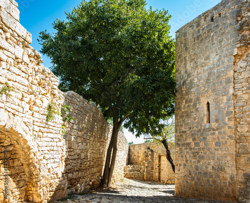 Medieval farmhouse of Balsignano at the archaeological area of Balsignano (10th century), Modugno town, Bari province, Puglia region in souther Italy photo