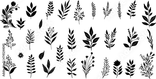 hand drawn floral elements. Vector set botanical illustration. minimalist plant symbols.  #745244045