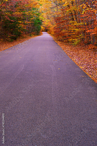 Country road in autumn through NH White Mountain National Forest