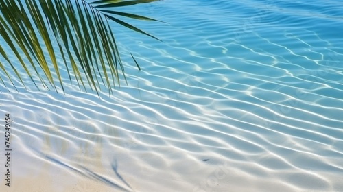 Tropical leaf shadow on water surface with shadow of palm leaves on white sand beach