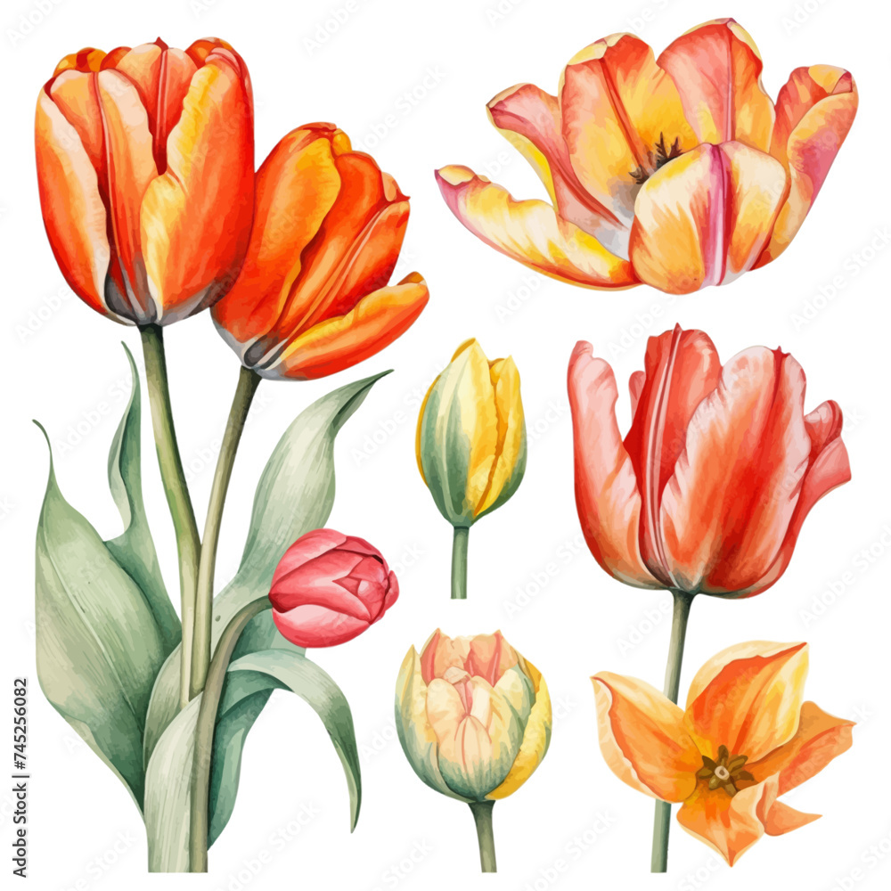 Watercolor Art Tulip Set' displays a captivating ensemble of tulips, each depicted with the fluid and expressive strokes of watercolor. This set highlights the unique charm and vivid colors of tulips. Watercolor Art Tulip Set' displays a captivating ensemble of tulips, each depicted with the fluid and expressive strokes of watercolor. This set highlights the unique charm and vivid colors of tulips.