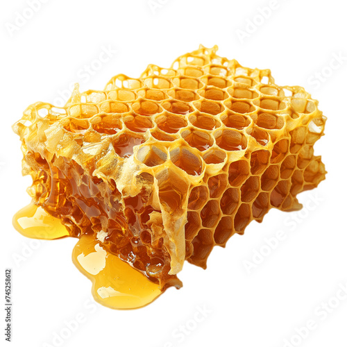 Delicious honeycomb isolated, closeup detailed shot