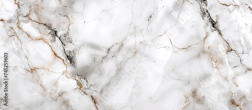 This close up view showcases the intricate details and smooth surface of a white marble texture, suitable for high resolution ceramic wall and floor tiles.