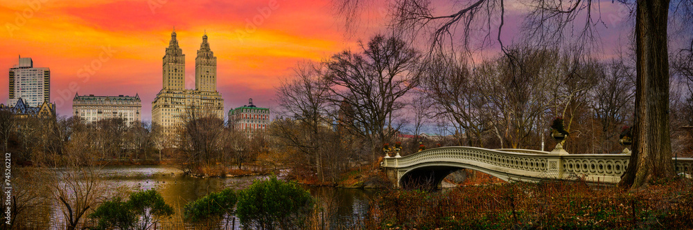 Central Park Winter landscape with the Bow Bridge and bare willow trees in Manhattan, New York City, USA