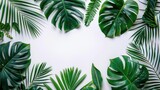 A creative arrangement featuring vibrant tropical leaves set on a white backdrop