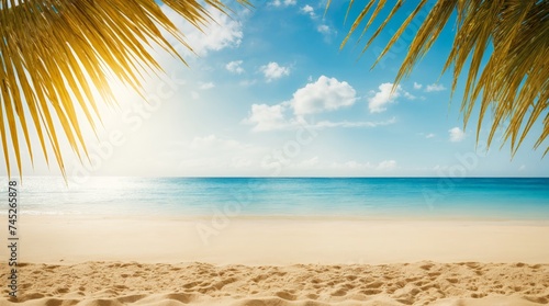 Golden sands beside tranquil turquoise waters under shining sun and blue skies seen through palm leaves  © Fred