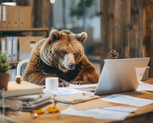 A bear in audit meticulously working through spreadsheets on a laptop in a quiet organized office photo