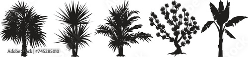 Wallpaper Mural Silhouettes of different palm trees Torontodigital.ca