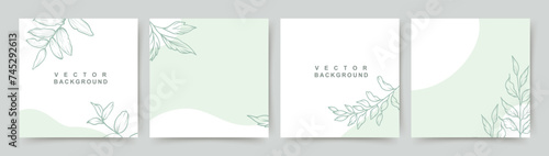 Neutral minimal background in green colors with floral elements. Vector for social media post, invitation, greeting card, packaging, branding design, banner, presentation, poster, advertising