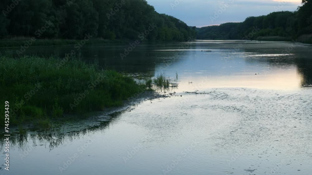 Glowing River in a Wetland Forest in the Evening Glowing River in a Wetland Forest in the Evening