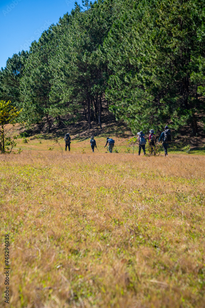 Ta Nang - Phan Dung route with milestone between 3 provinces through grass hills and forests in Song Mao Nature Reserve Ta Nang - Phan Dung route with milestone between 3 provinces through grass hills and forests in Song Mao Nature Reserve