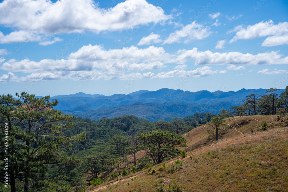 Ta Nang - Phan Dung route with milestone between 3 provinces through grass hills and forests in Song Mao Nature Reserve Ta Nang - Phan Dung route with milestone between 3 provinces through grass hills and forests in Song Mao Nature Reserve
