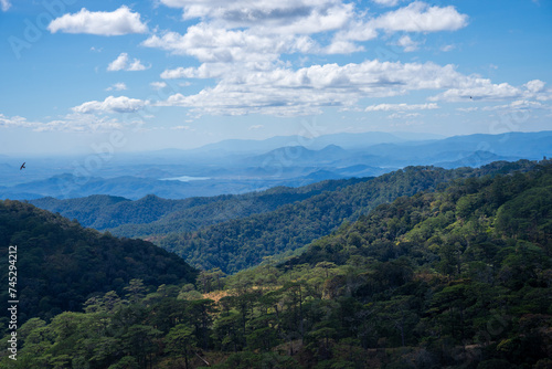 Ta Nang - Phan Dung route with milestone between 3 provinces through grass hills and forests in Song Mao Nature Reserve photo