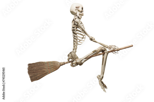 Photography skeleton riding on a broom on transparent background