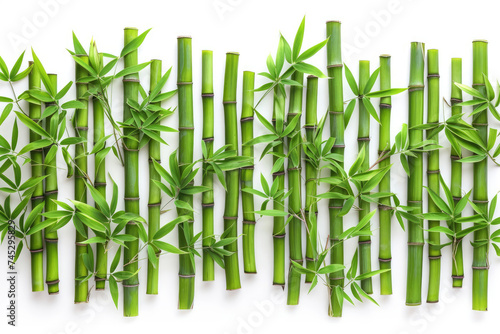 Green Bamboo Sticks on White Wall