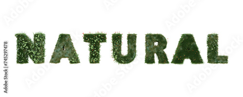 green grass text Natural on transparent background. 3d render modern letter isolated for logo, decorative, creativity etc.