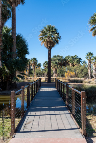 Fototapeta Naklejka Na Ścianę i Meble -  Agua Caliente Regional Park in Tucson Arizona on a sunny day