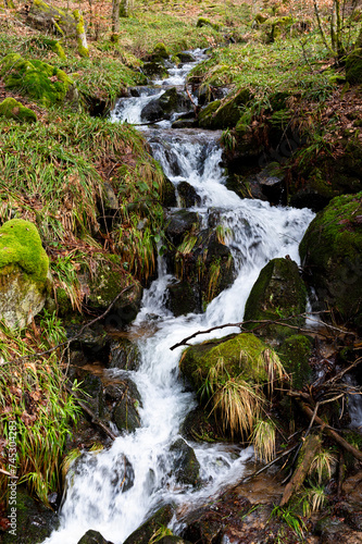 Stream in the Vosges with luminous waterfall. The intimacy of a small mountain stream in the Vosges mountains of Alsace. France