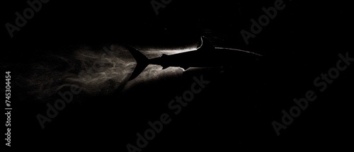 a black and white photo of a shark in the dark with smoke coming out of it's back end. © Jevjenijs