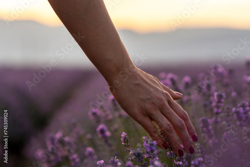Touching the lavender.