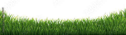 Green Grass Border And Isolated White background