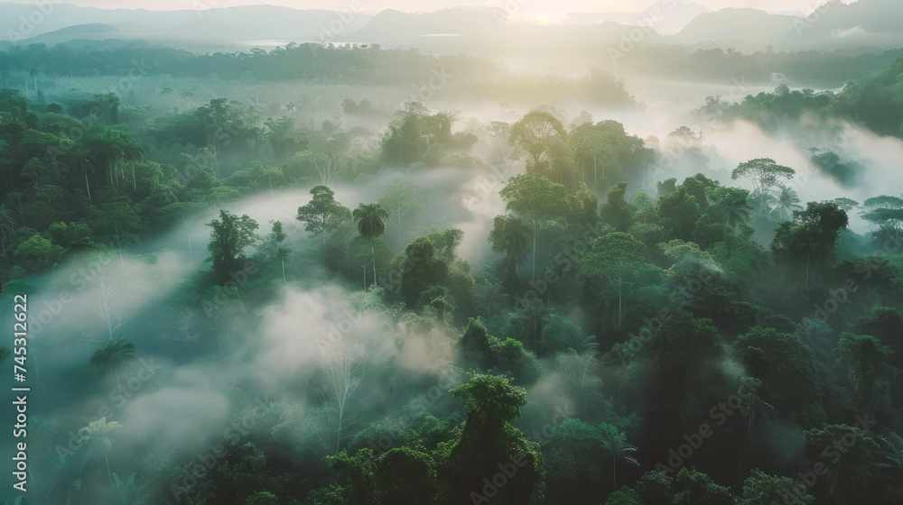 The Amazon rainforest in the morning is so natural - obrazy, fototapety, plakaty 