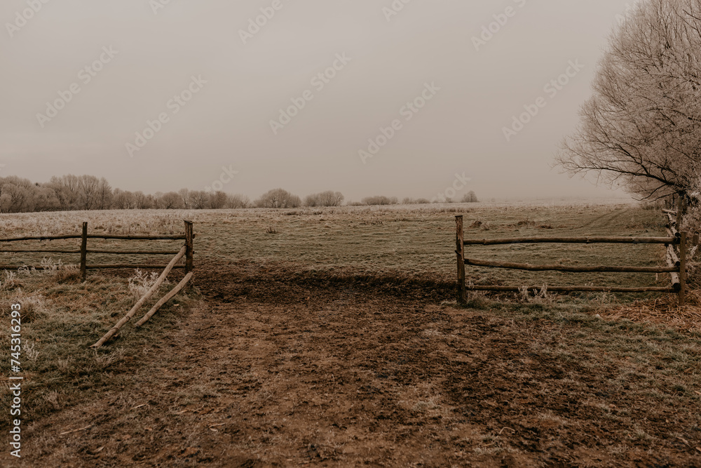 old wooden fence. hedge. beams. open gate. barrier. empty green field in grass covered with hoarfrost.