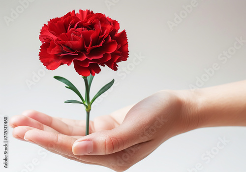 Red carnation, symbol of the revolution in portugal. spring and freedom. AI generated