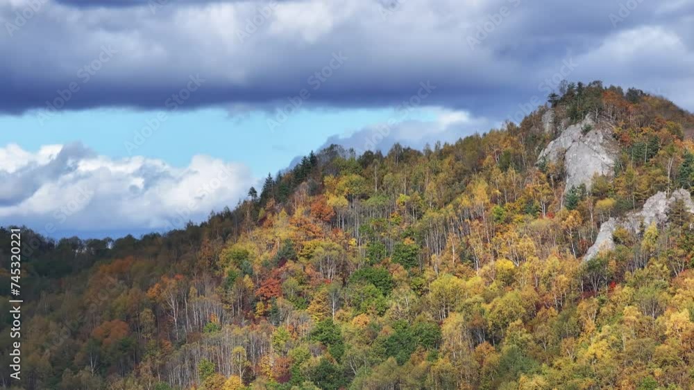 Mountain View With Trees and Clouds Mountain View With Trees and Clouds
