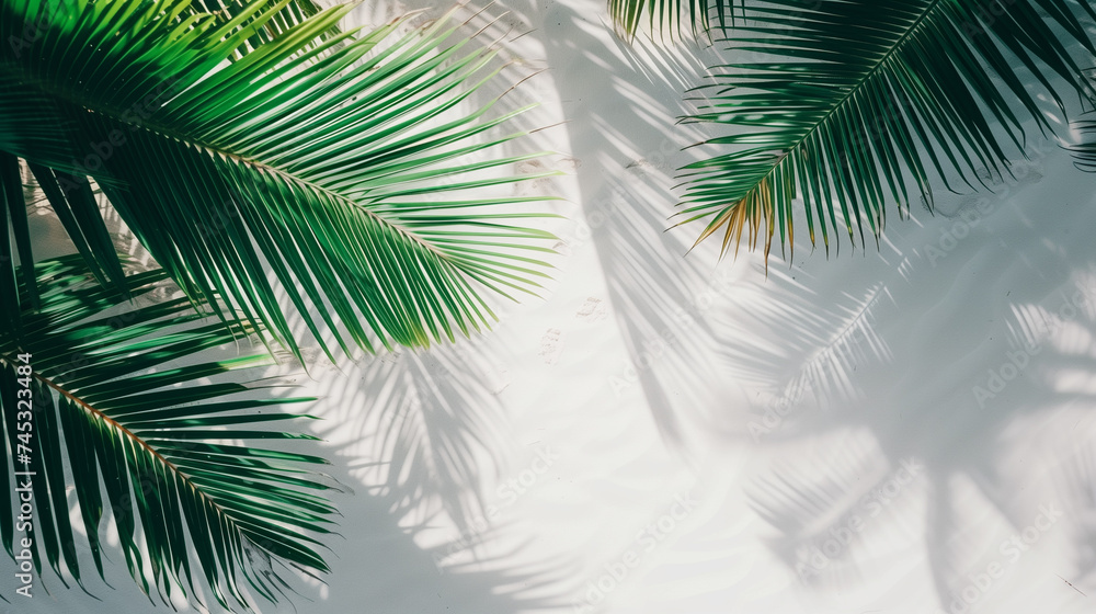 Tropical palm leaves on white sand beach background with copy space. Summer vacation and travel concept Tropical palm leaves on white sand beach background with copy space. Summer vacation and travel concept