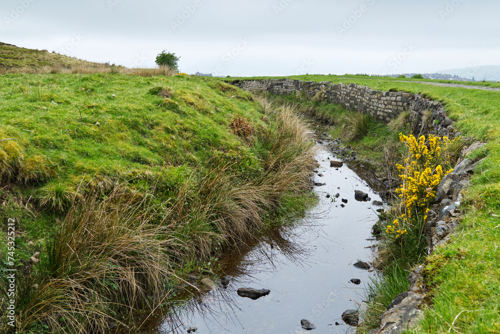 Bach und Gräser am Wanderweg beim Greenock Cut in Schottland