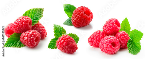 Raspberry collection isolated on white background