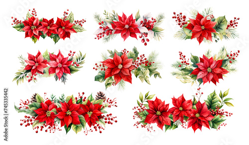 Watercolor poinsettia Christmas winter flower illustration. Red floral nature painting isolated on white background. Xmas red green holly wreath branch photo