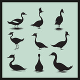 set of silhouettes of birds, Grebe black silhouette set vector
