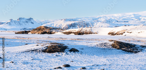 Beautiful winter view of of winter landscape of Reynisfjara Beach with gass growing in the black sand volcanic beach in the foreground. Snowy mountains in the background. Beautiful view on snowy Reyni